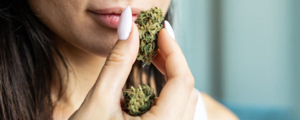 Livrer des fleurs de CBD