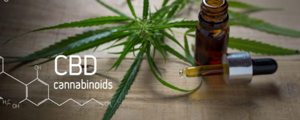 Cannabidiol CBD