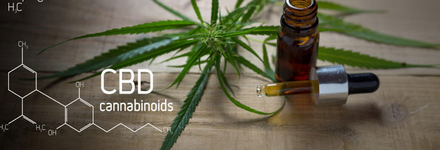 Cannabidiol CBD