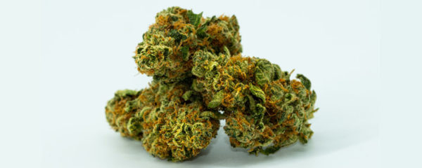 top 3 des fleurs de cbd