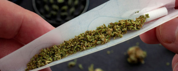 feuilles à rouler