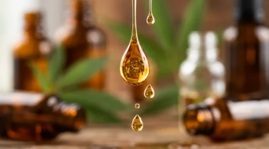 Administration sublinguale d'huile CBD montrant l'absorption rapide par les vaisseaux sanguins