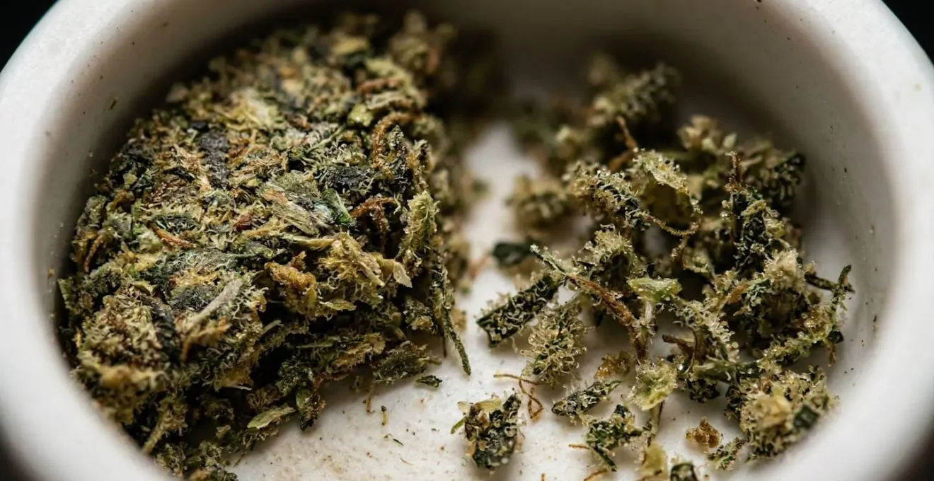 Vue macro de fleurs de CBD effritées dans une chambre de vaporisation en céramique, montrant un côté tassé et un côté aéré